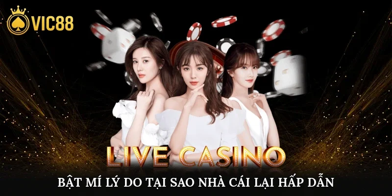 Bật mí lý do tại sao nhà cái lại hấp dẫn và thu hút nhiều cược thủ