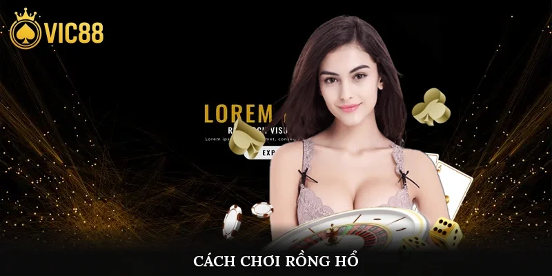 Cách chơi rồng hổ