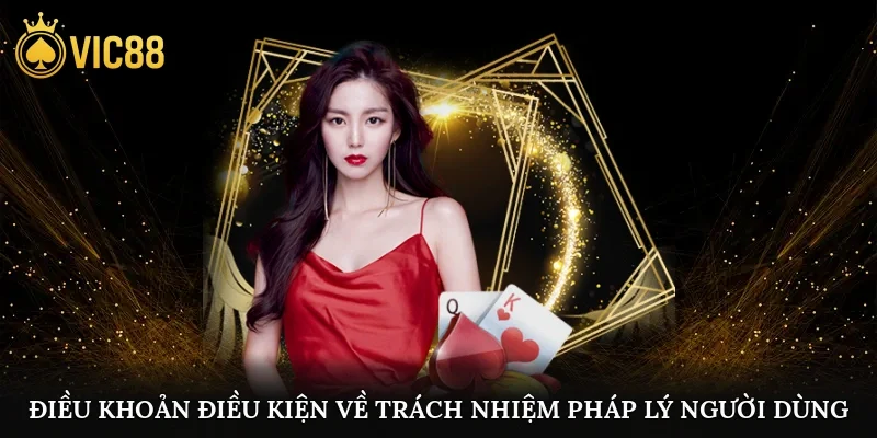 Điều khoản điều kiện về trách nhiệm pháp lý người dùng