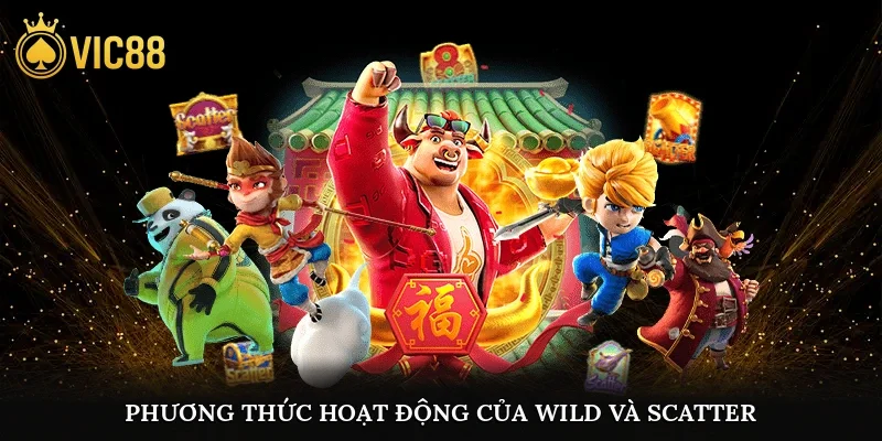 Phương thức hoạt động của Wild và Scatter