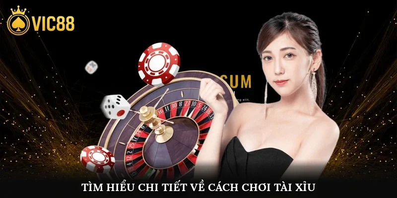 Tìm hiểu chi tiết về cách chơi Tài Xỉu