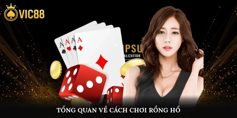 Tổng quan về cách chơi Rồng Hổ